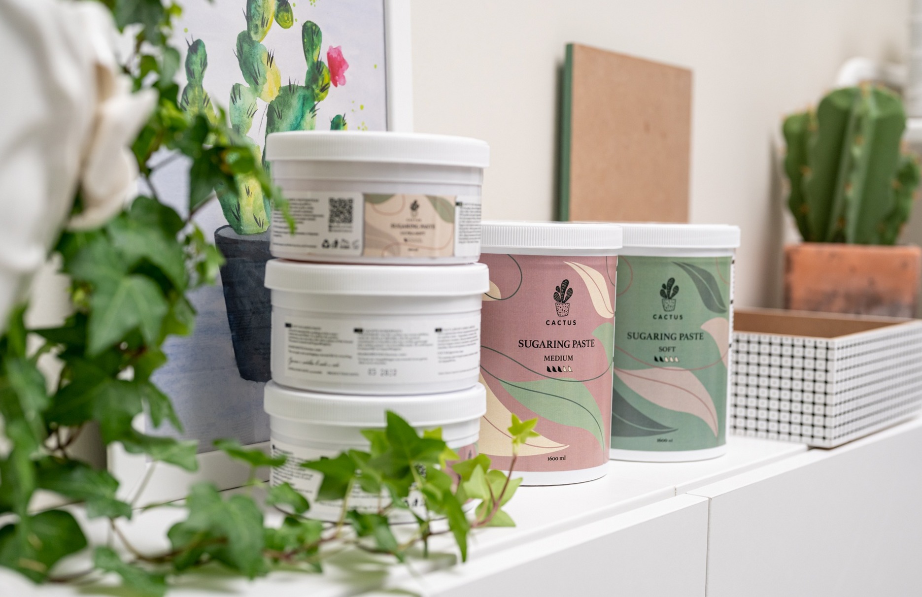 Potten CACTUS suikerpasta tussen klimop, met een geschilderde cactus erachter