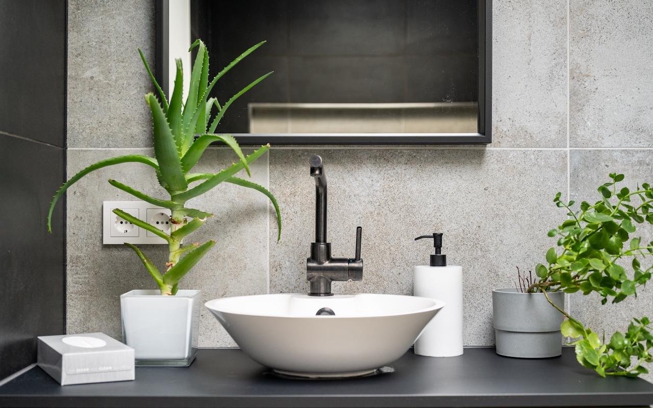 Wastafel in de badkamer van de studio met aloë en planten